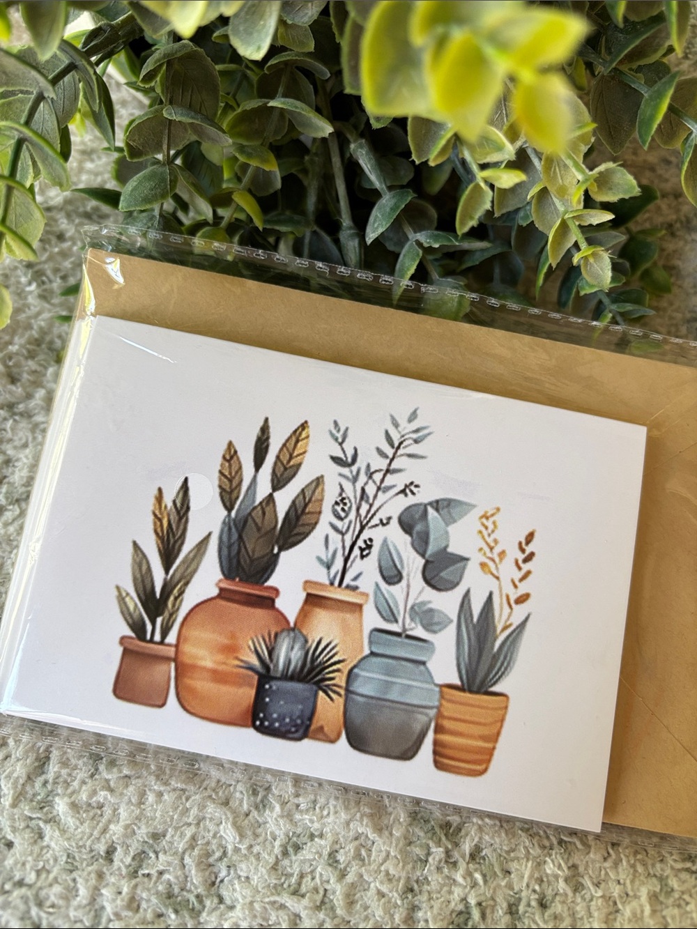 Terra Cotta Potted Plants Tropical Note Cards Blank Inside Set of 6 NWT HC
